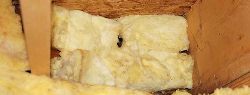 Crawl Space Repair | Rodents in Insulation | Virginia | Kefficient