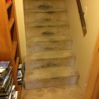 Mold Remediation | Wet Stairs | Virginia | Kefficient