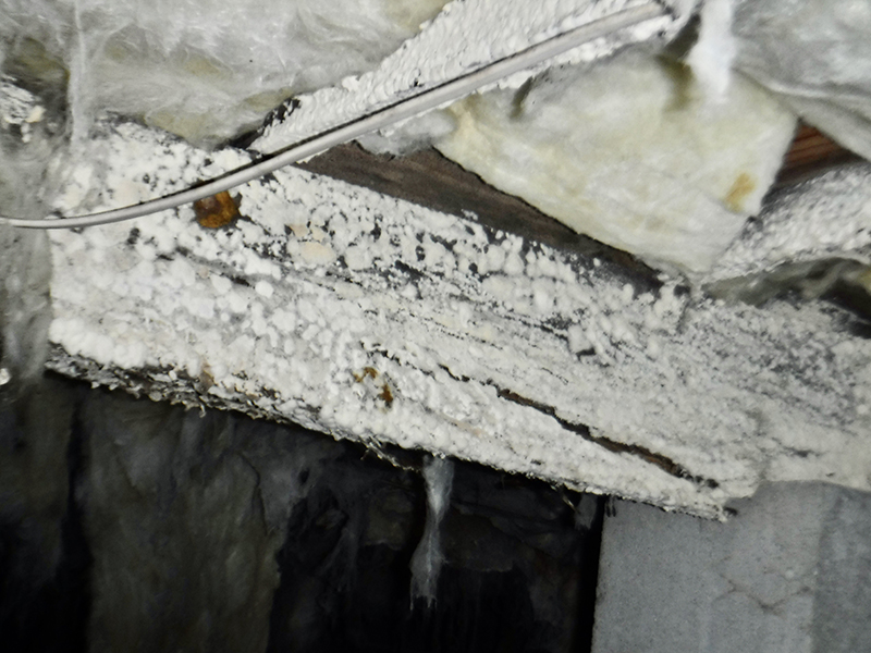 Mold Removal and Remdiation Richmond VA | Kefficient | Virginia